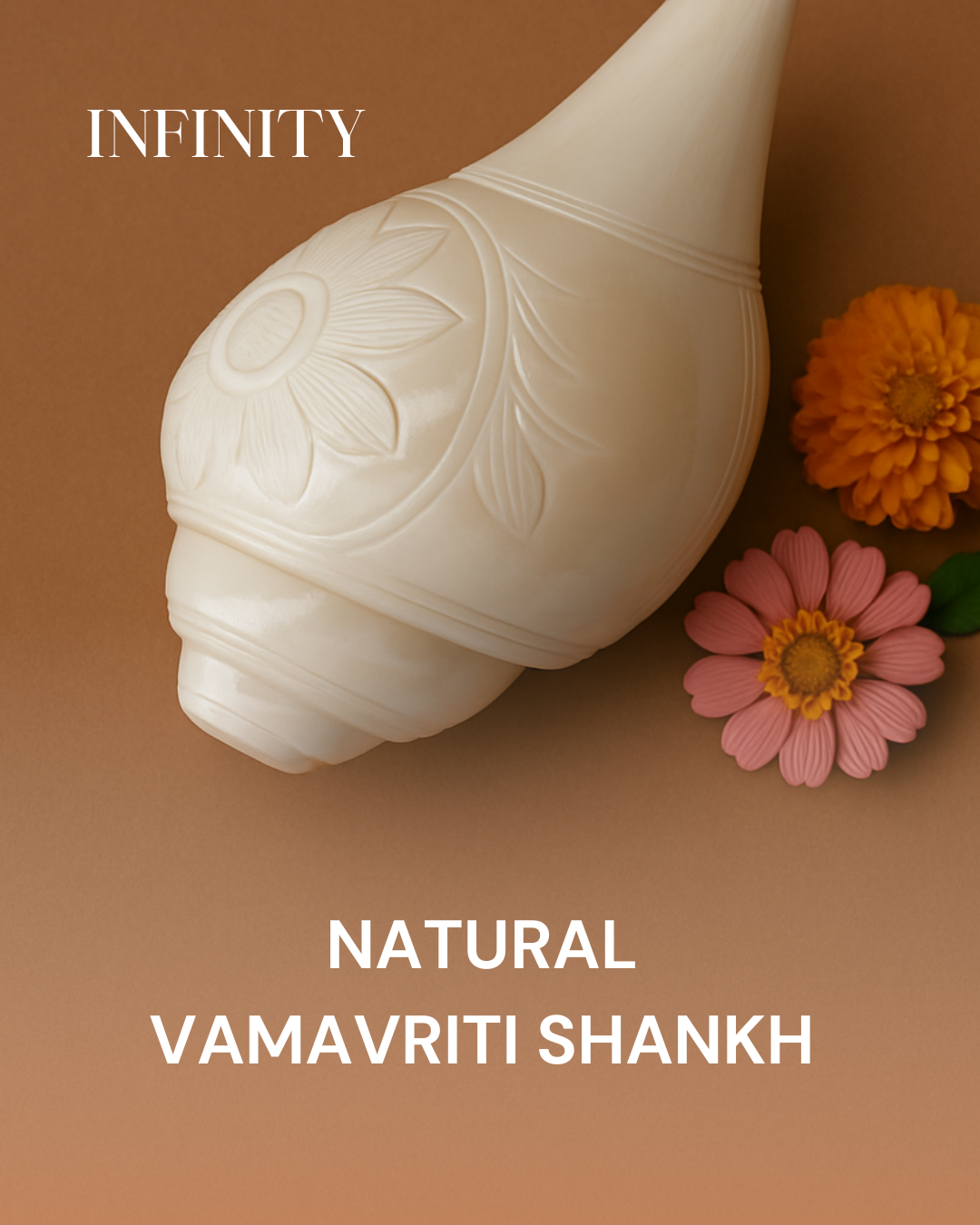 100% Original Bengali Shankh